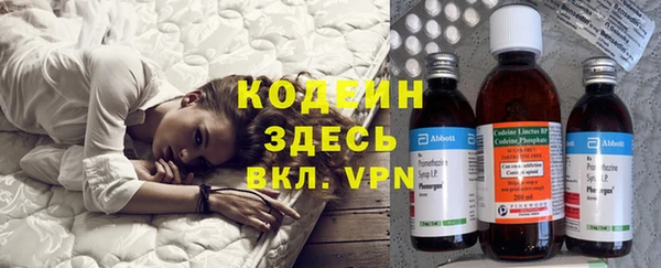 прущие грибы Горняк