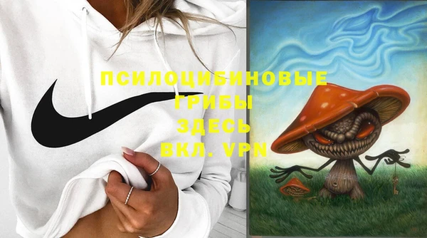 трава Алзамай