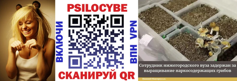 Псилоцибиновые грибы ЛСД Нерчинск